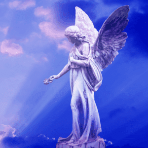 El Enigma de tu Compañero Celestial