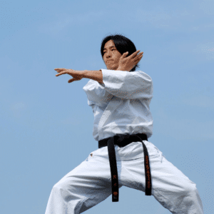 Domina el Karate con nuestra App!