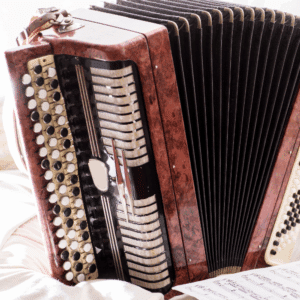 ¡Domina el acordeón con Acordeón Master!