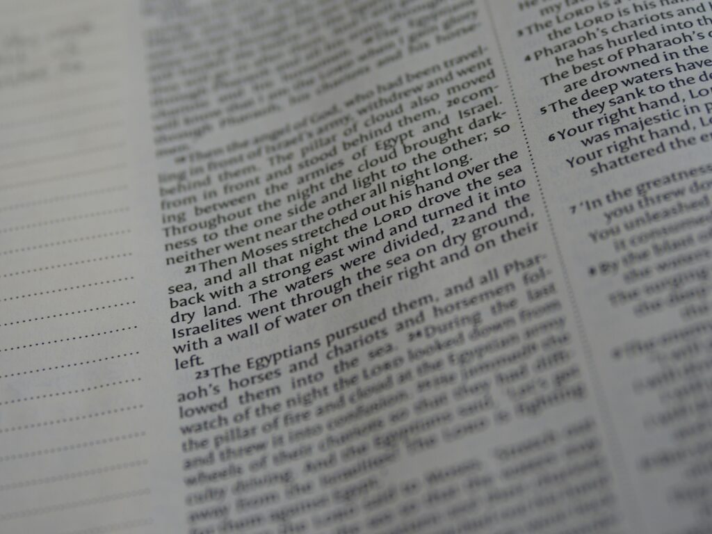 Milagros al Rezar el Rosario: Guía Completa